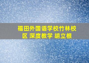 福田外国语学校竹林校区 深度教学 胡立根